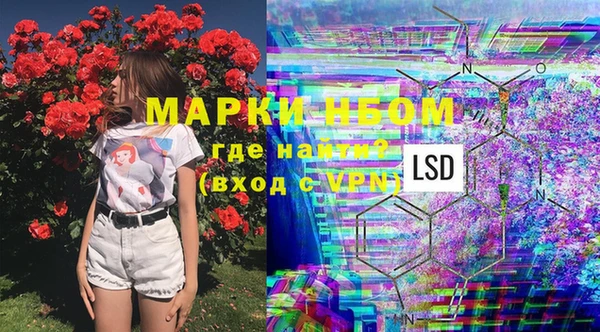 молекула духа Няндома