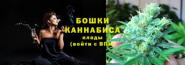 молекула духа Няндома