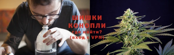 сатива Нязепетровск