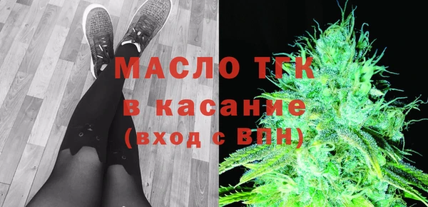 молекула духа Няндома