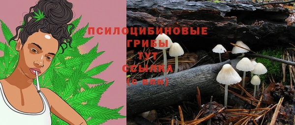 молекула духа Няндома