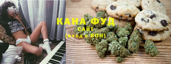 молекула духа Няндома